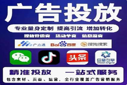 SEO百度推广策略：成功案例解析